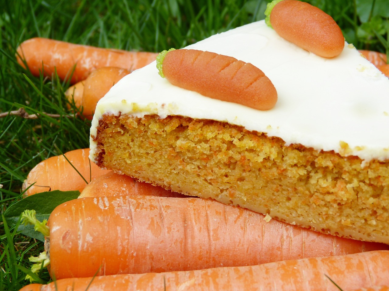 carrot cake rblitorte rblikuchen 2209039